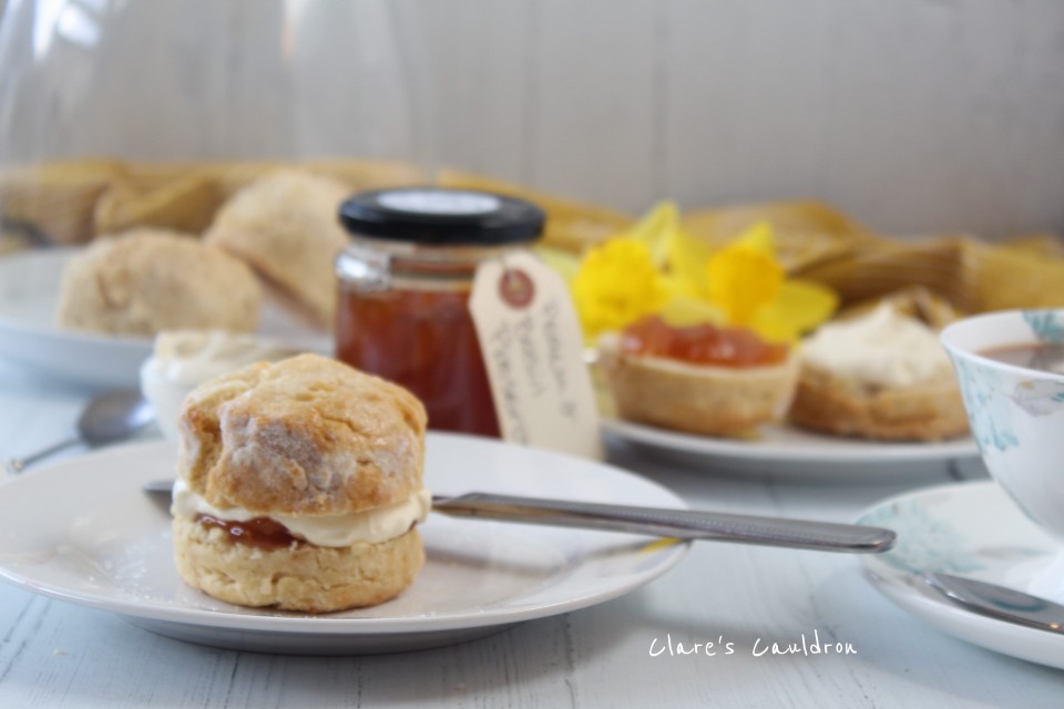 No Bee Scones&nbsp;!!