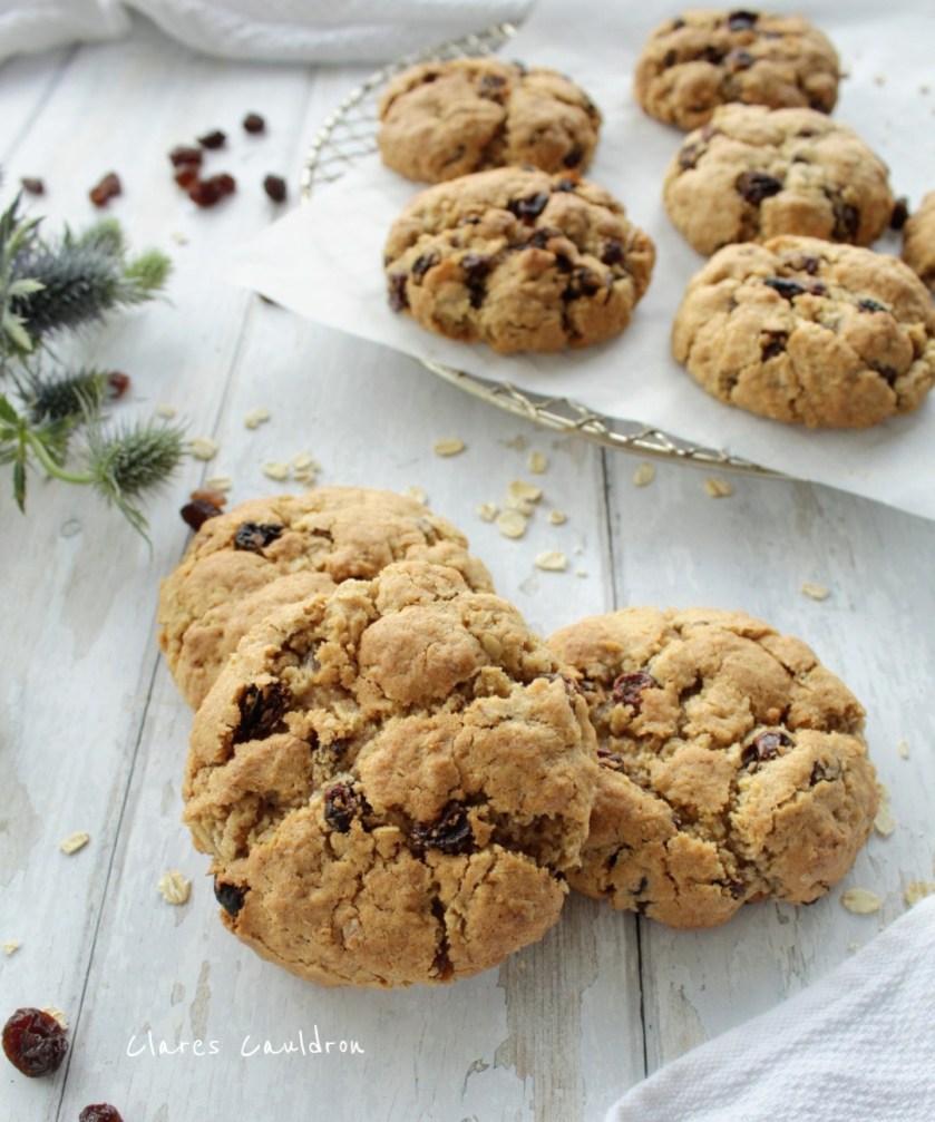 Delicious Gluten Free and Vegan Raisin Oatmeal Cookies 