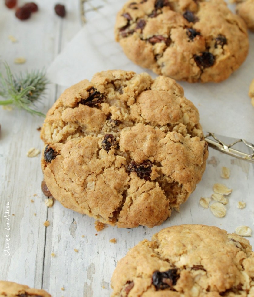 Delicious Gluten Free and Vegan Raisin Oatmeal Cookies 
