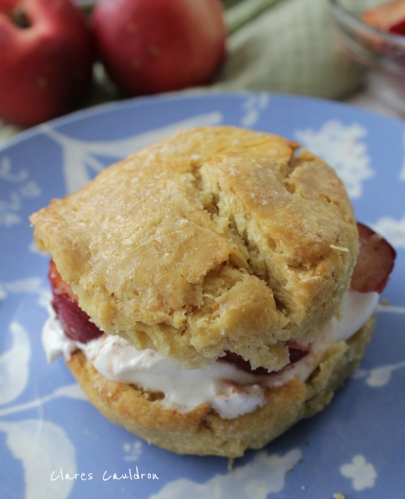 Gluten Free Vegan Peaches and Cream Shortcake 