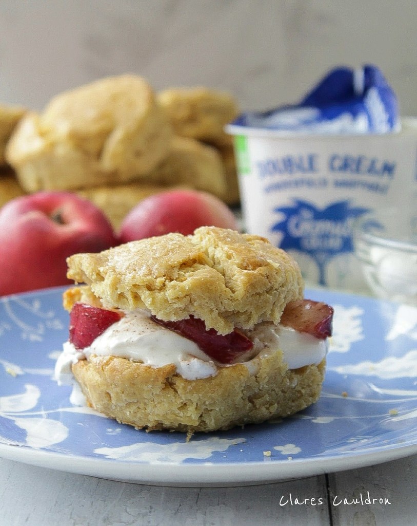 Gluten Free Vegan Peaches and Cream Shortcake 